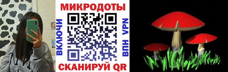 Псилоцибиновые грибы Psilocybe  дарнет шоп  Ковров 