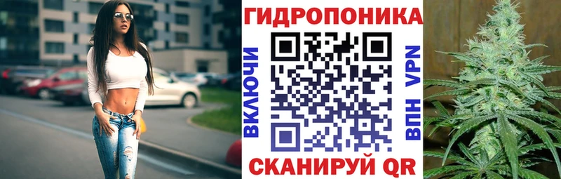 Канабис планчик  ОМГ ОМГ tor  Ковров  купить наркоту 